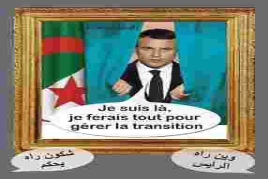 فرنسا الراعي والمساند الرسمي لديكتاتورية الجنرالات بالجزائر