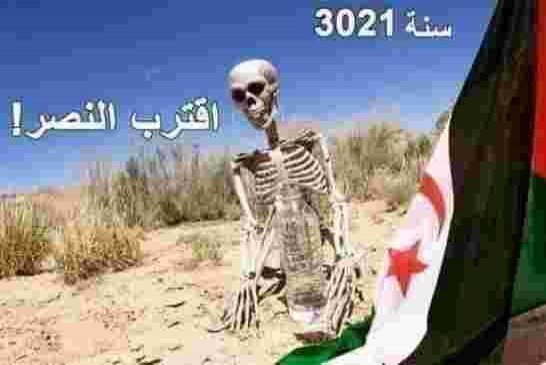 بربي واش حابين تهبلونا جيش لابسين صنادل تاع بلاستيك حابين يربحو معركة مع جيش نضامي كالجيش المغربي