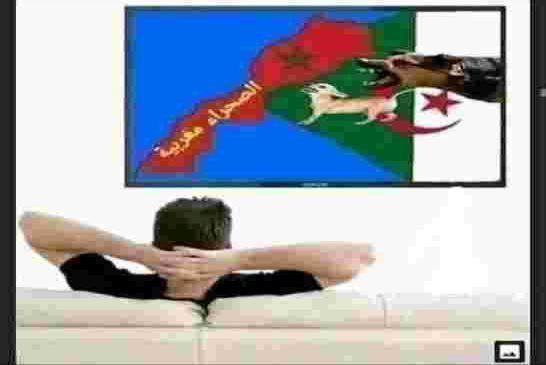 ياقوم أين النهار و الشروق و البلاد و الخبر من قرار ترامب لماذا بلعتم لسانكم