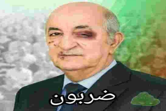 تبون يكمل سنته الأولى رئيسا للجزائر