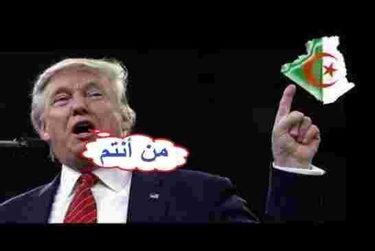 ياقوم الجزائر تغرق والحرب الأهلية على الأبواب وقنوات الصرف الصحي تناقش تغريدة ترامب