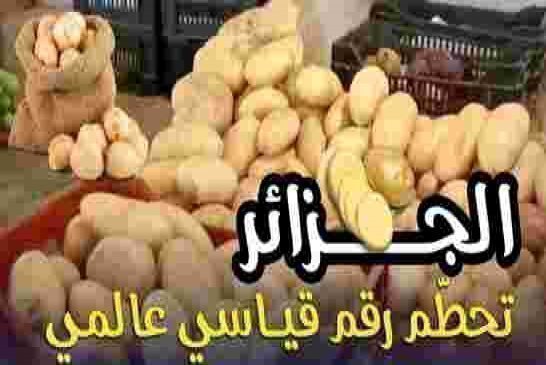 إنتاج وتخزين البطاطا الحل السحري الإستراتيجي لعصابة الجنرالات لإسكات الشعب