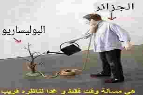 لماذا لا تمتلك الجزائر الشجاعة وتعترف بانّ قضية الصحراء قضيّة مفتعلة