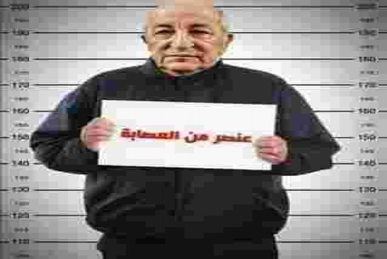 الجزائر في حاجة إلى رئيس شرعي وقوي