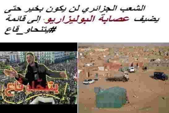 شنين: موقف الجزائر من الصحراء الغربية غير قابل للمساومة
