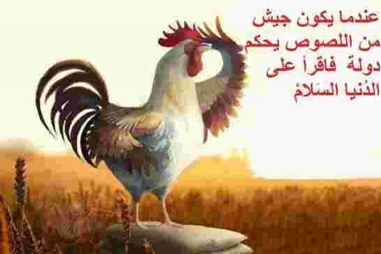 النفاق و حقد جنرالات الجزائر الأعمى على المغرب