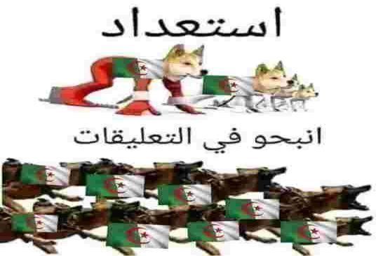 ياقوم بوصبع الرئيس الأمريكي جو بايدن سيزور المغرب كأول بلد عربي فاستعدوا للنباح