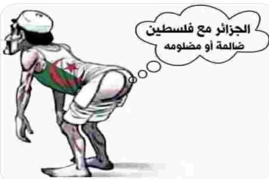 لماذا دولة الجزائر ليست لها سفارة في فلسطين  ! !