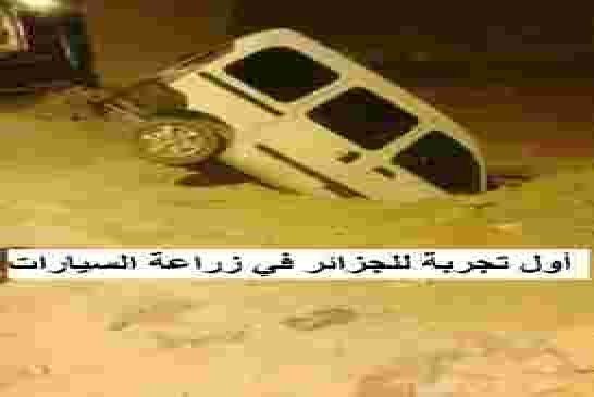 حلم تصنيع أول سيارة بأنامل جزائرية تبخر بسبب أبناء فرنسا المخلصين