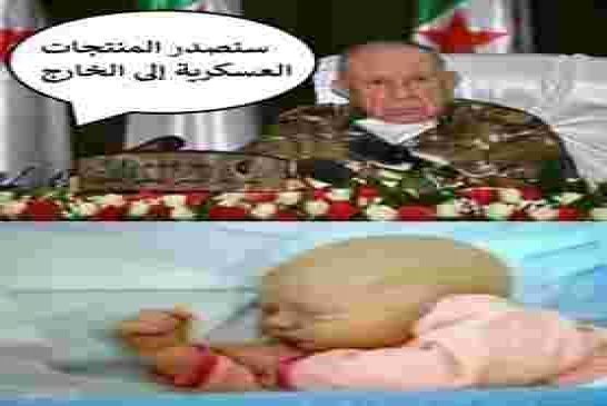 الجزائر تراهن على الذكاء الإصطناعي بقدرات محلية