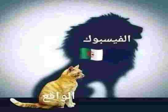 الجزائر كقوة إقليمية في إفريقيا تطالب منظمة الأمم المتحدة بمنحها مقعد دائم