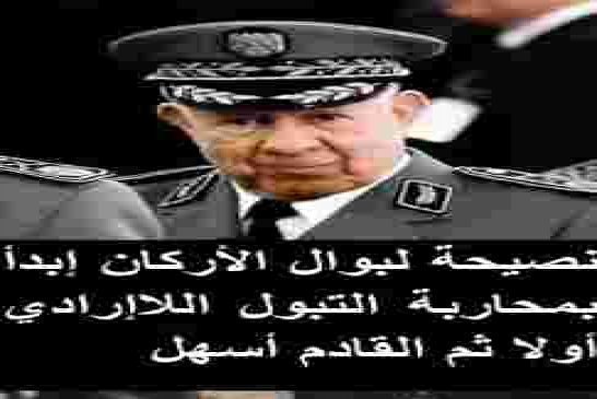 بوال الأركان شنقريحة يترأس اجتماعا لدراسة الوضع الأمني في البلاد والمنطقة الإقليمية