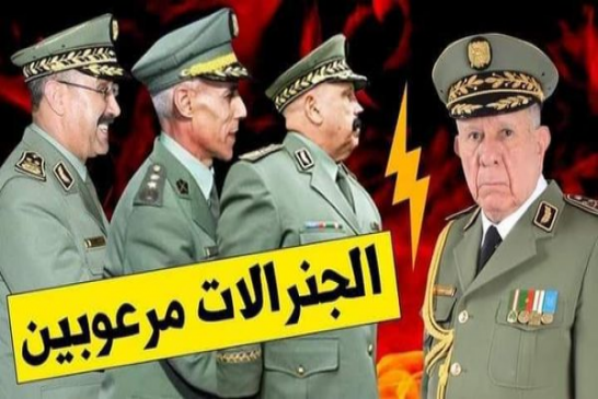 في إطار الزيارات الإسعراضية قائد القوات البرية بالناحية العسكرية الثانية