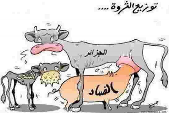 كيف صنعت الصين من لاشيء اقتصاد جبّار وكيف حوّلت الجزائر ثروة النفط من نعمة الى نقمة