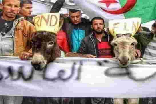 الأمين العام للأرندي يطالب بالتعجيل في تنظيم بغنيمة التشريعيات