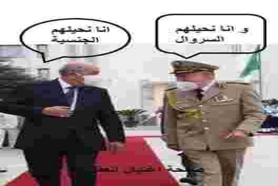 جنون سلطة عصابة الجنرالات