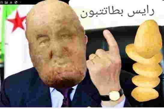 اقولها بكل صراحة و بدون خوف من احد"حنا ما يخلعنا حتى واحد" حنا القوة البطاطية الأولى على صعيد العربي