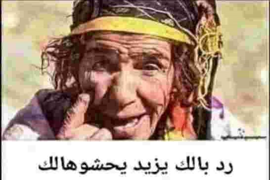 شنقريحة: المرأة الجزائرية فخر العرب