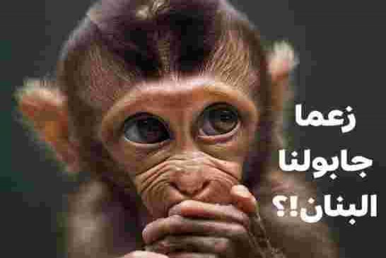 بلعيد يقترح إطلاق سراح اللصوص و المفسدين مقابل إرجاع الأموال المنهوبة