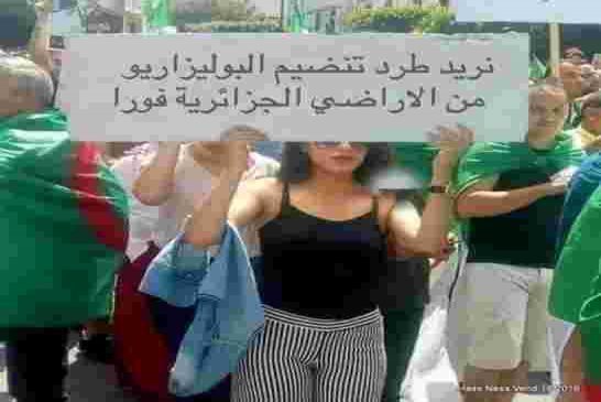 الإهتمام الغير مفهوم بقضية الصحراء سيكبد الجزائر خسائر كبرى لاحصر لها على المدى البعيد