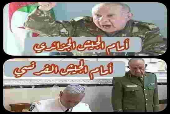 بوال الأركان يضع 50 ألف جندي جزائري تحت إمرة قائد الجيش الفرنسي لحماية مصالحها الاقتصادية في العمق ا