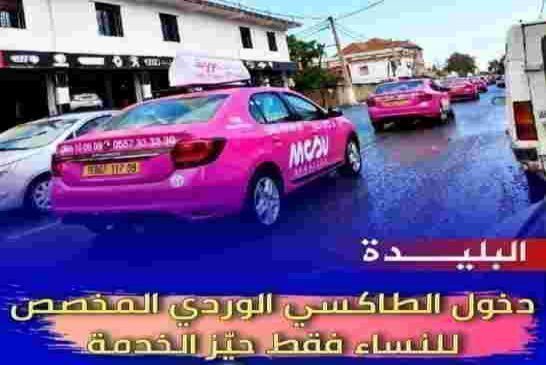 من الفهد الوردي إلى الطاكسي الوردي في الجزائر الجديدة