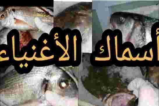 رغم وجود محيطين الأسماك تغيب على موائد المغاربة في رمضان بسبب أثمتتها المرفعة