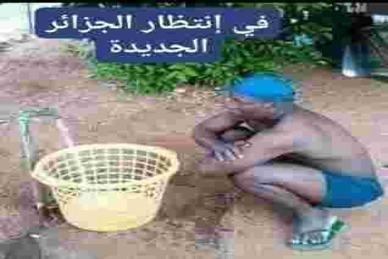بلحيمر: يؤكد على اعتراف فرنسا بجرائمها لتسوية ملف الذاكرة