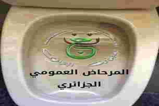 أمير ديزاد يكشف كيف تخرط وتتمسخر اليتيمة على الشعب الجزائري في نشرة الثامنة