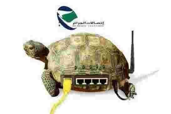 اتصالات الجزائر تعد باستمرارية الخدمة في عيد الفطر