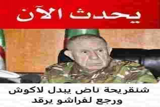 شنقريحة يحذر المغامرين من محاولة المساس بالوحدة الترابية للجزائر