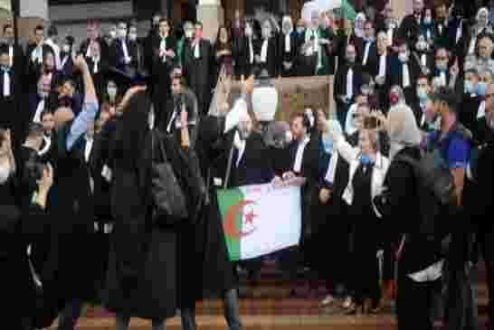 المحامون يقاطعون العمل القضائي تضامنا مع زملائهم التابعين لمنظمة تبسة