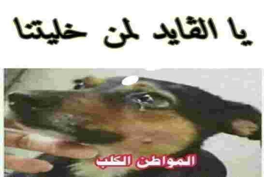 بعد فضيحة طرد بوراس قوجيل يطالب بتغيير طريقة تسيير البرلمان الإفريقي