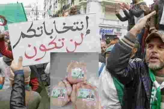 منطقة القبائل تقاطع تشريعيات عصابة الجنرالات