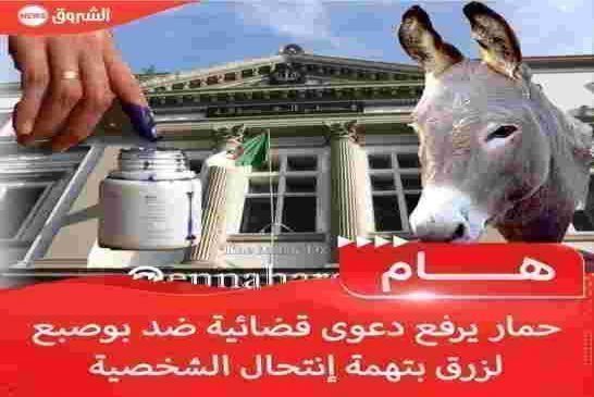 إنتخابات الجزائر الجديدة الأقل مشاركة و نزاهة