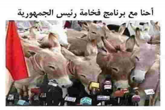 رئيس المجلس الشعبي الوطني إبراهيم بوغالي يتعهد بتطبيق برنامج الرئيس تبون