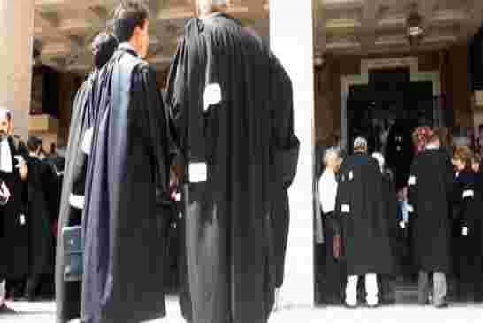 انتخاب طايري إبراهيم نقيب وطني جديد للمحامين الجزائريين