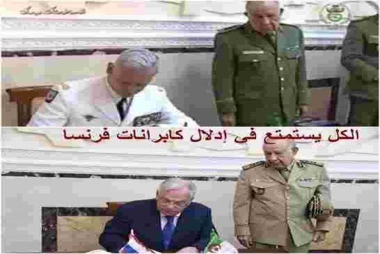 بوال الأركان شنقريحة حول الجزائر الى عاهرة يتناوب على اغتصابها الأقوياء
