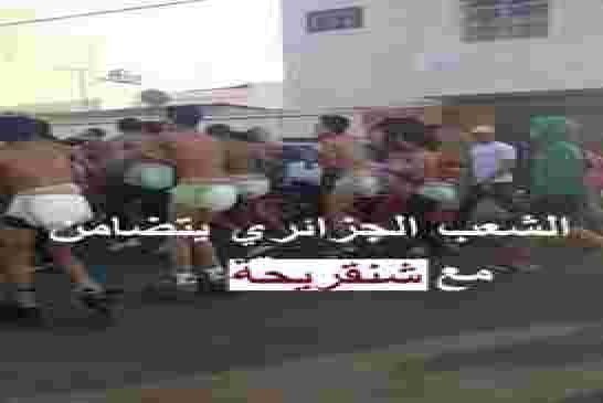 شنقريحة: الأكسجين موجود بوفرة في مصانع الصلب وما يروج في الإعلام مؤامرة  من نسج الخيال