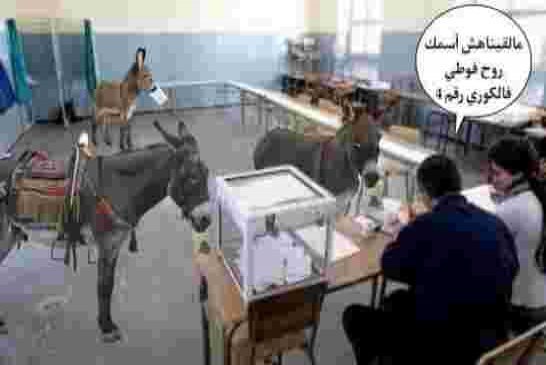 أحزاب لفرامجية تخرج من جحورها لدعم إجراء المحليات في نوفمبر