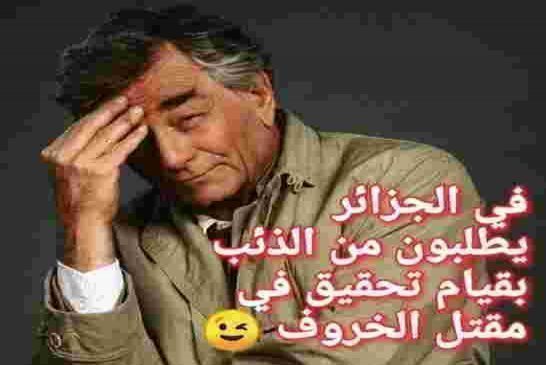 اذاعة “فرانس إنتر” تستهزء بالجزائر حول اتهام المغرب بحرق الغابات