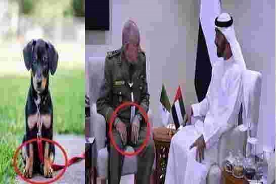النفاق الجنرالات قطعوا العلاقات مع المغرب بسبب التطبيع واستقبلوا سفير الإمارات من اجل توطيد العلاقات