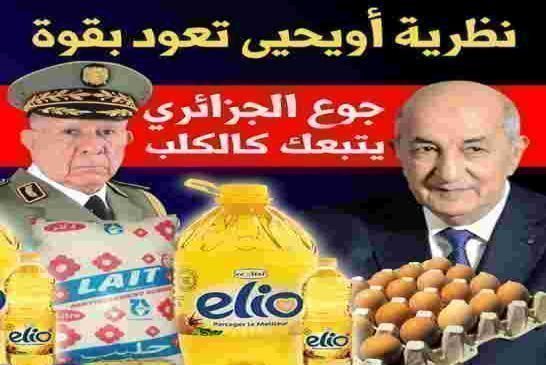 عصابة الجنرالات صرفت 450 مليار دولار على مشاريع تصنيع واهية لم تخرج الصناعة الجزائرية من تأخرها