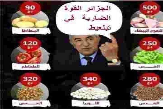 هموم مواطن جزائري بسيط يعبر عن غضبه وينتقد نظام كدبون القوة الضاربة في تبلعيط