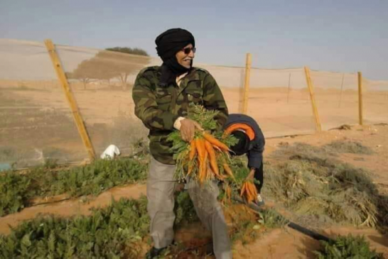 لعمامرة إلغاء اتفاقيتي الزراعة والصيد بين الاتحاد الأوروبي مع المغرب إنتصار تاريخي للقضية الصحراوية