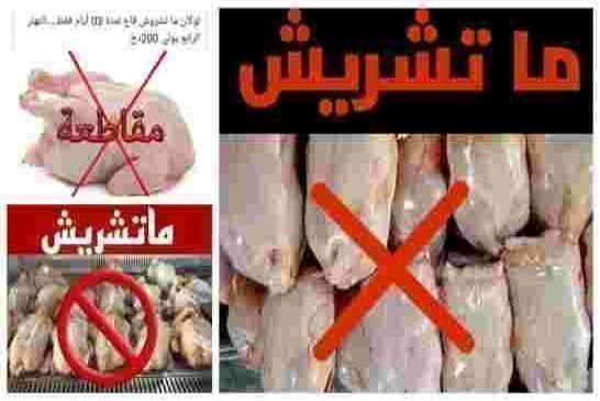 بعد الغلاء الفاحش إنطلاق حملة واسعة لمقاطعة الدجاج
