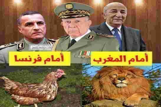 الإعلان عن مشروع قانون لـ تجريم الاستعمار الفرنسي