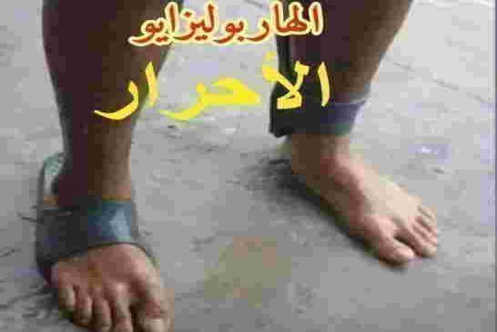 الجزائر تدعو إلى سحب القوات المغربية من منطقة الكركرات حلم لن يتحقق