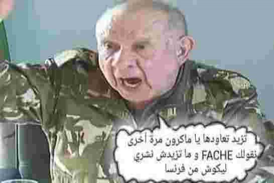 شاهد كارثة أكاديمية ضباط جيش القوة الضاربة تحت قيادة أبوكوش بوال الأركان شنقريحة
