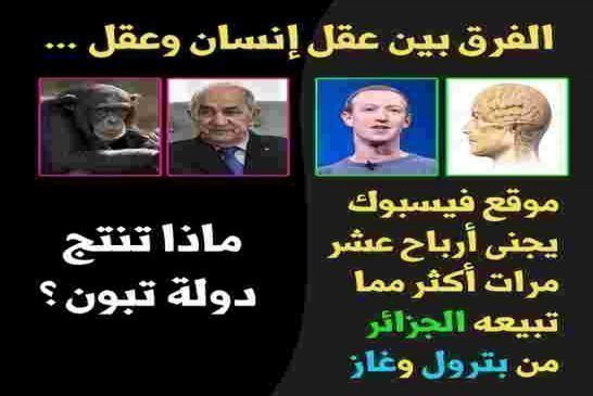 الأسئلة الغائبة يوم البارحة في لقاء تبون مع السخافة في جزائر الشر و الشعر